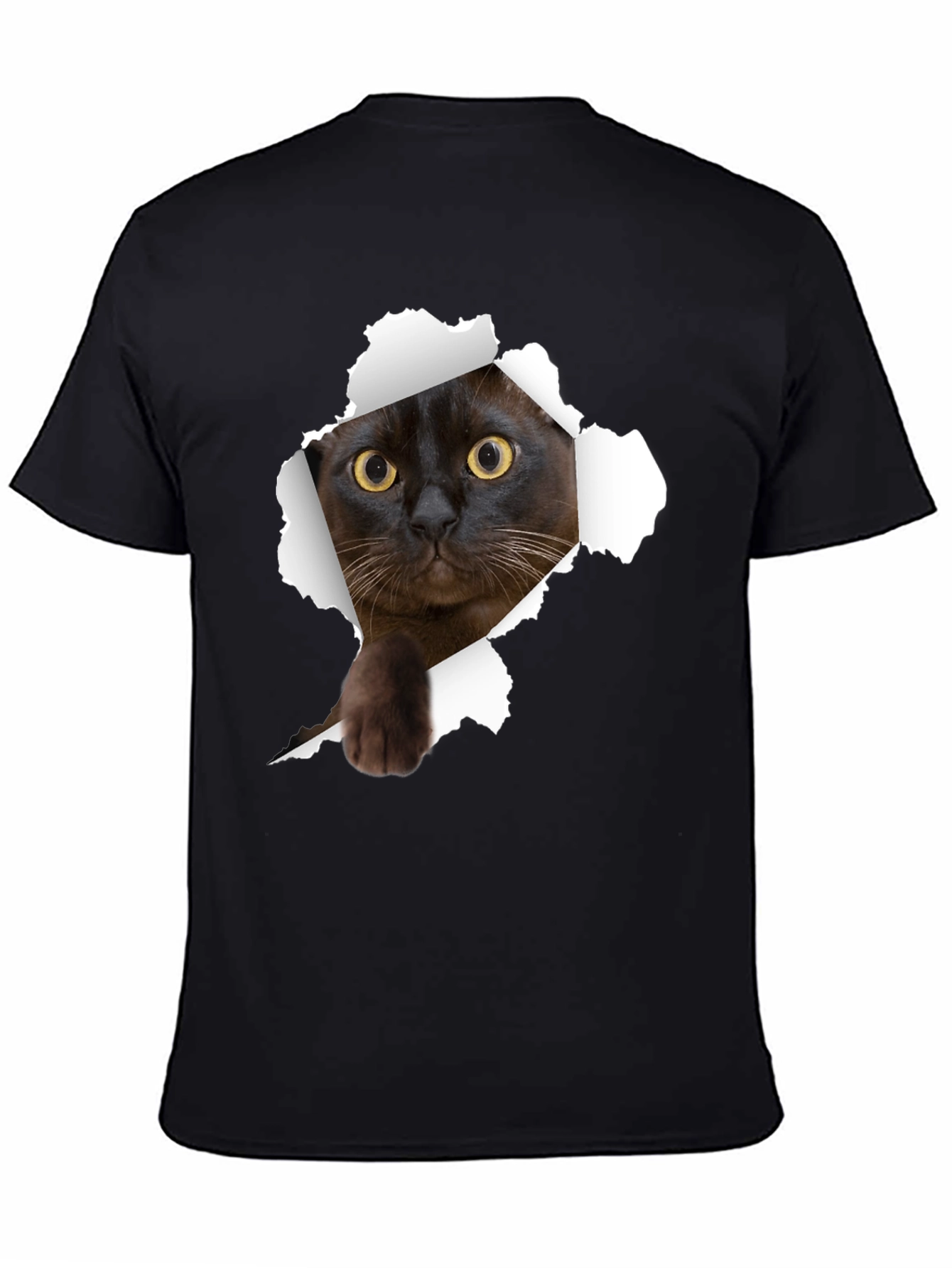 Cat Ripped T-Shirt - Peekaboo Kitty Tee