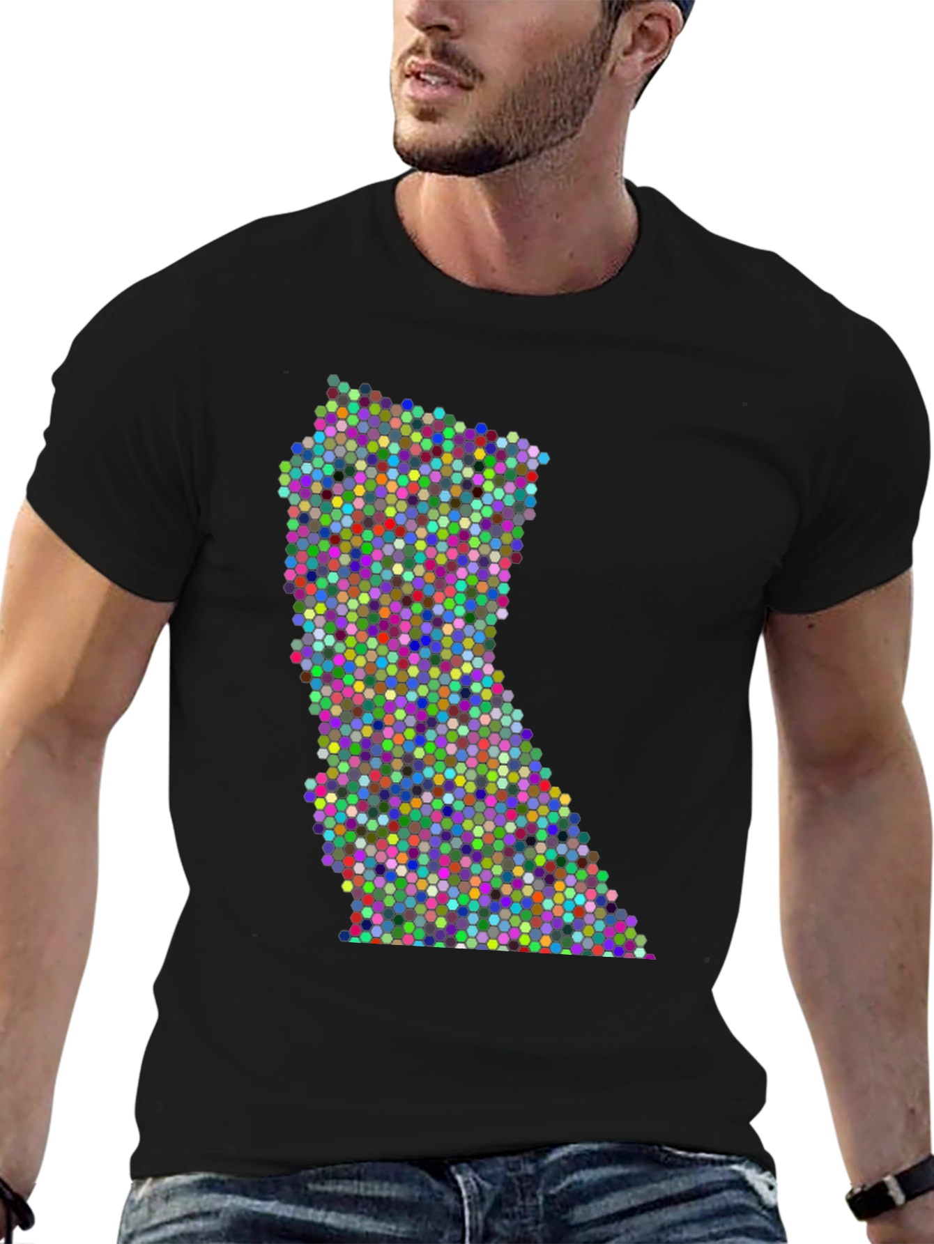 Colorful Dot Pattern State Graphic Tee