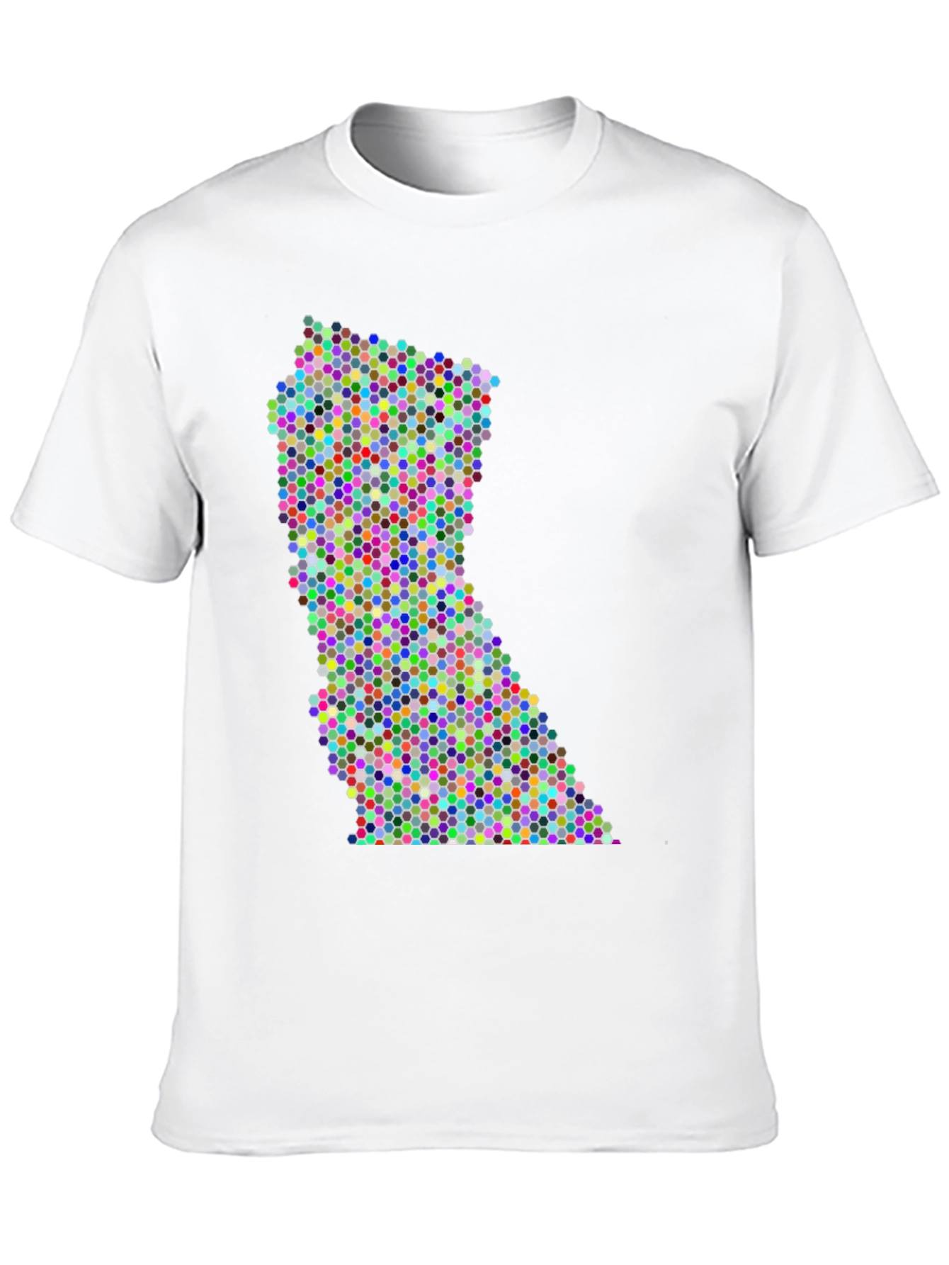 Colorful Dot Pattern State Graphic Tee