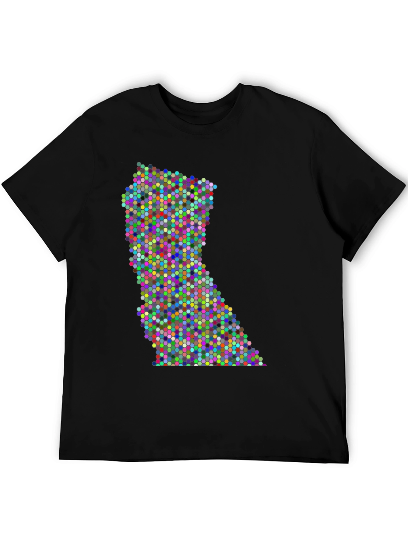 Colorful Dot Pattern State Graphic Tee