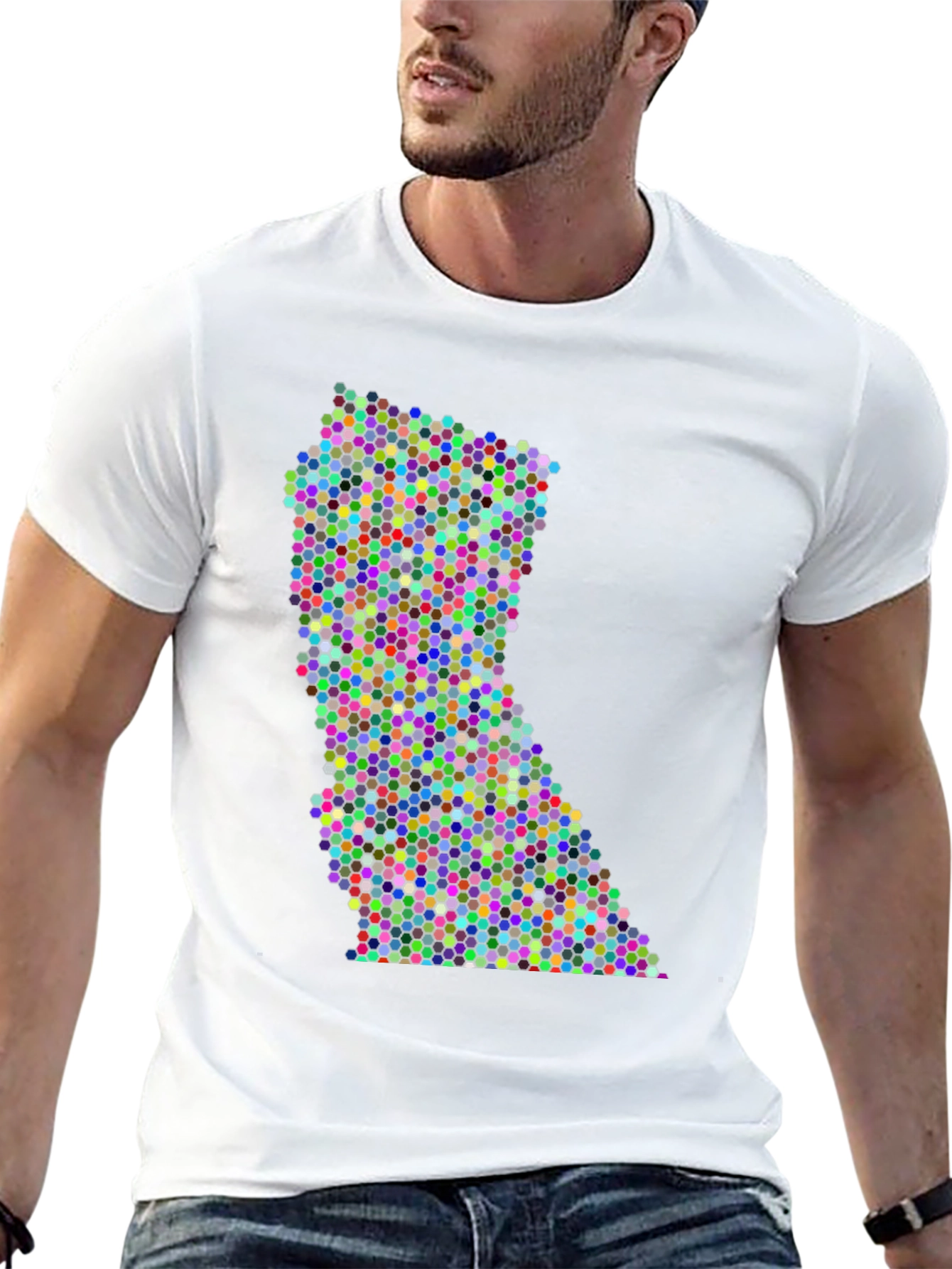 Colorful Dot Pattern State Graphic Tee