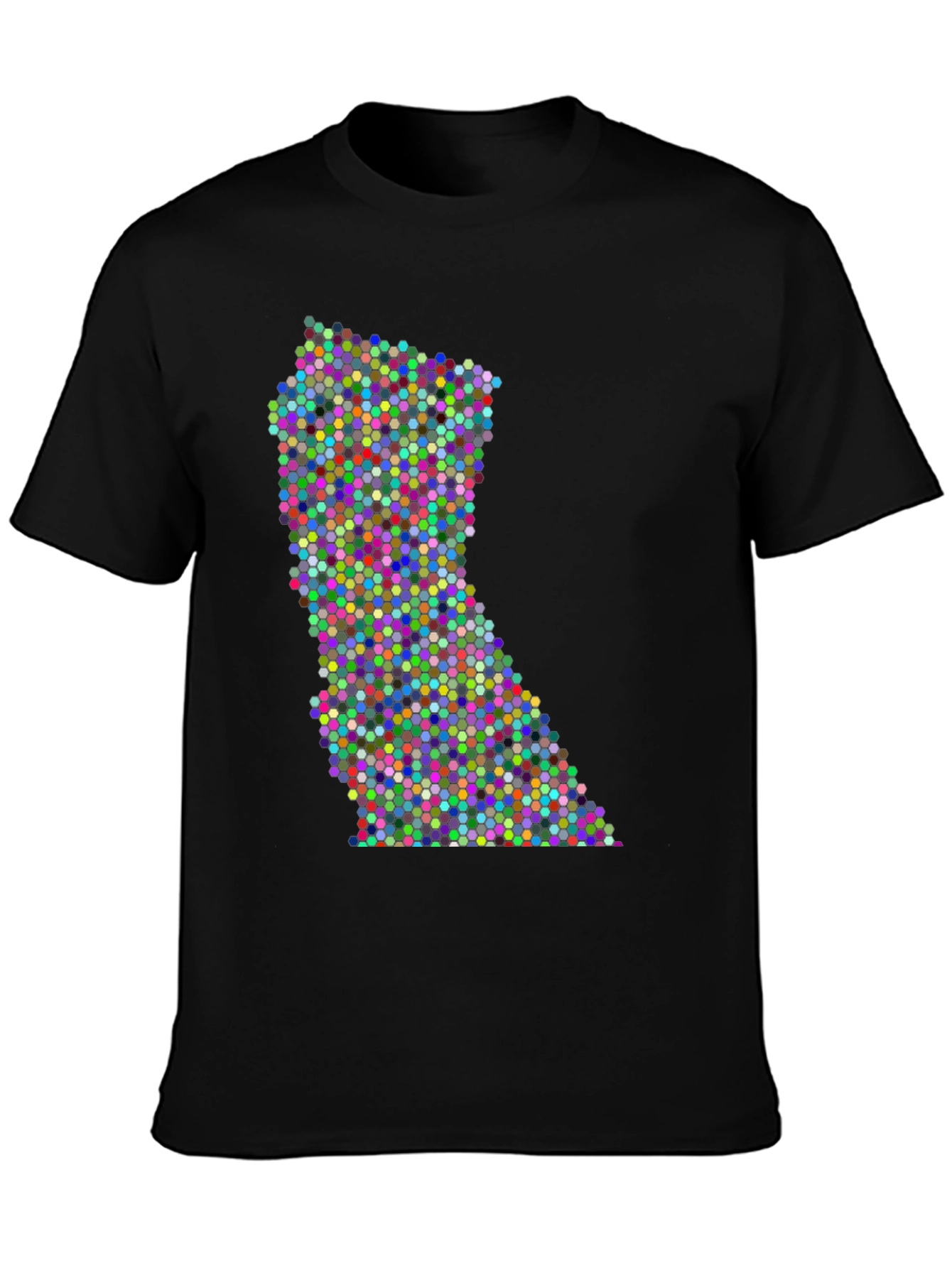 Colorful Dot Pattern State Graphic Tee