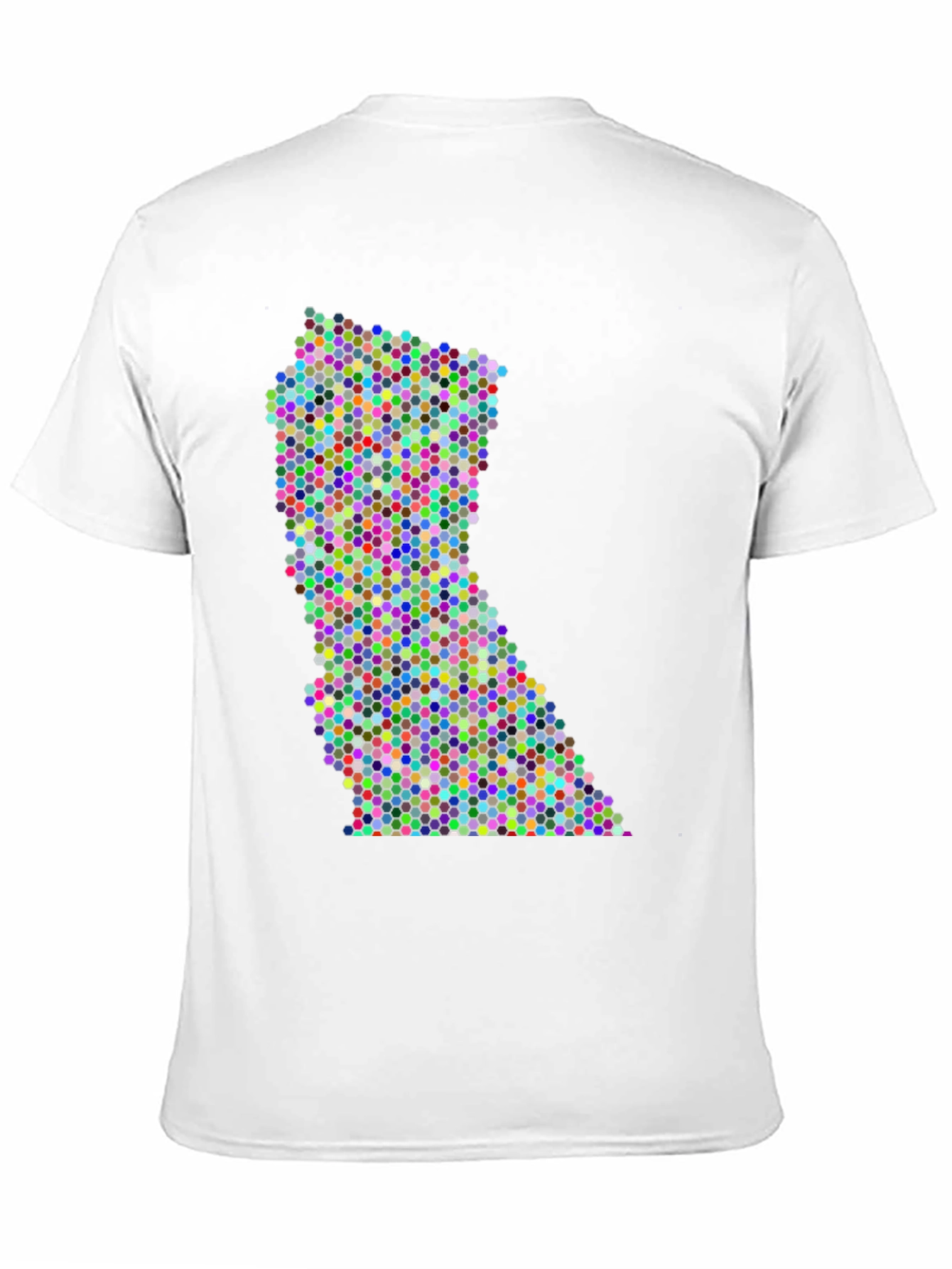 Colorful Dot Pattern State Graphic Tee