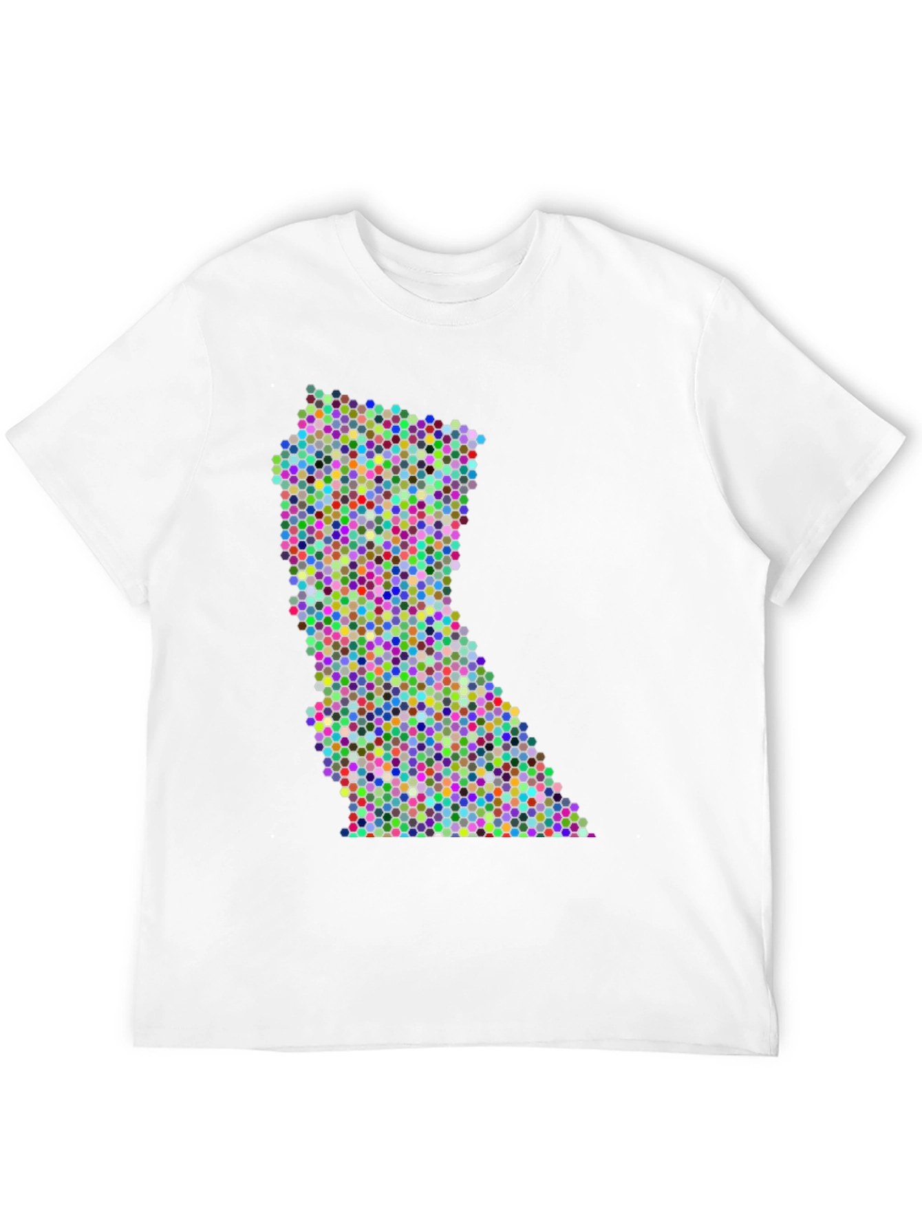 Colorful Dot Pattern State Graphic Tee
