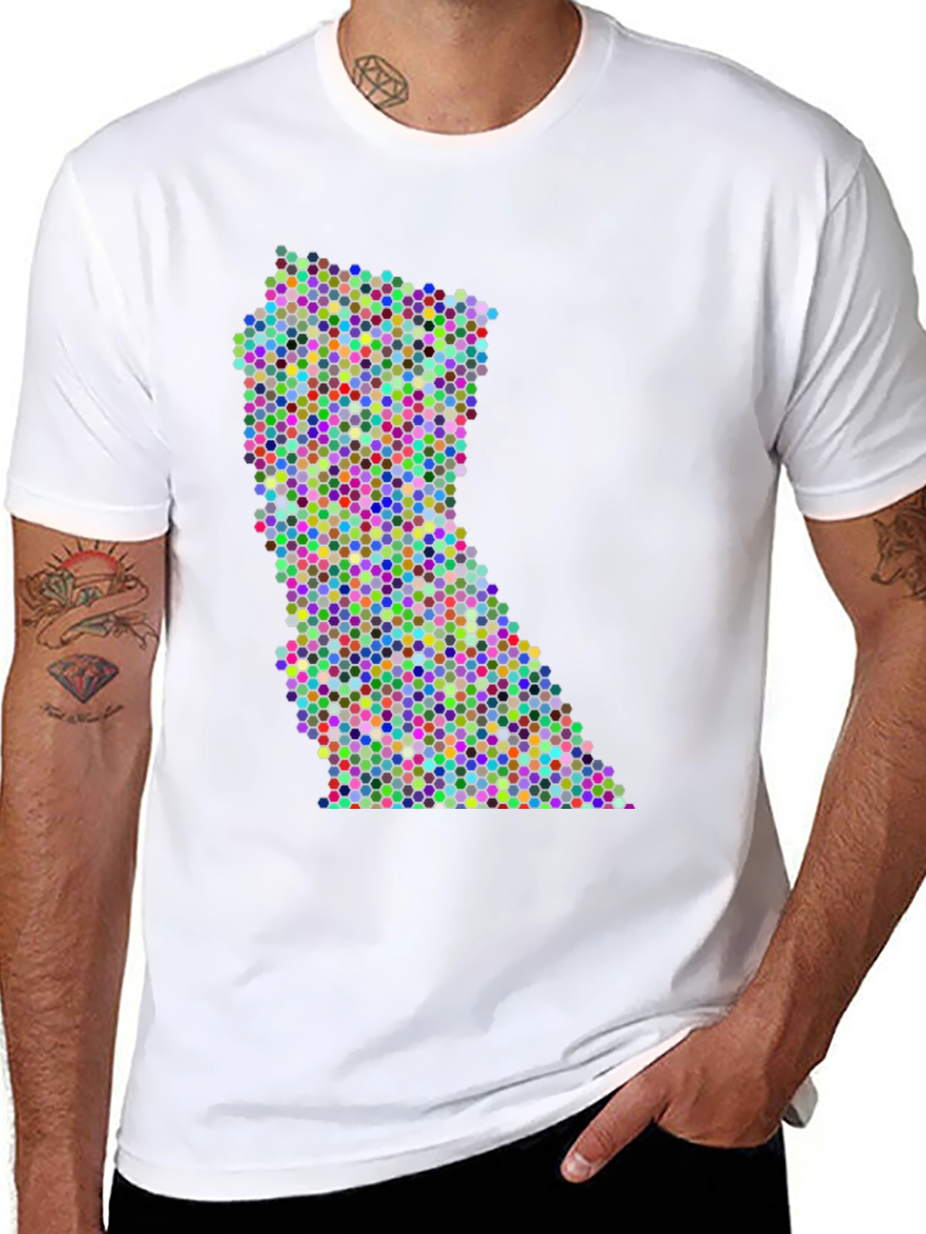 Colorful Dot Pattern State Graphic Tee