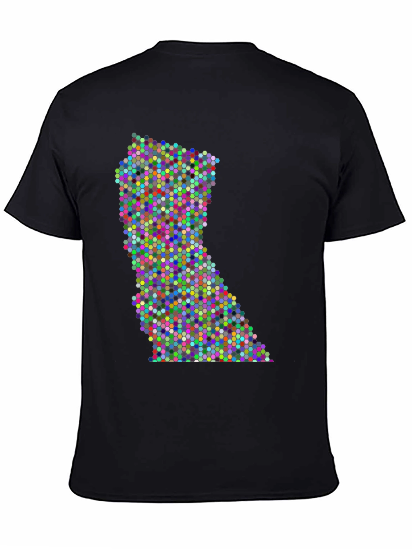 Colorful Dot Pattern State Graphic Tee