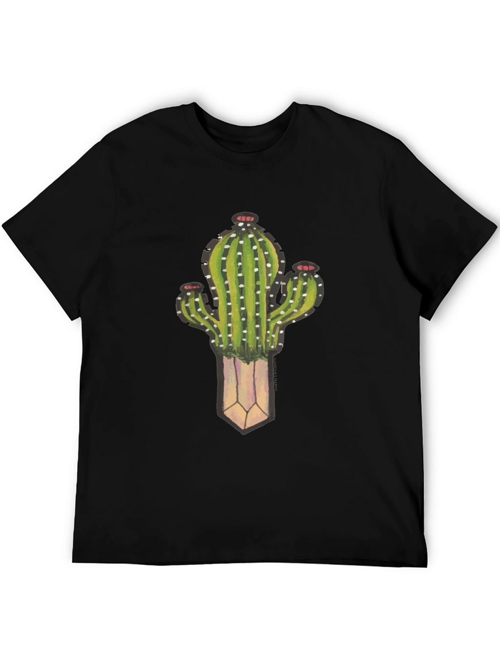 Cactus Plant Graphic Black T-Shirt