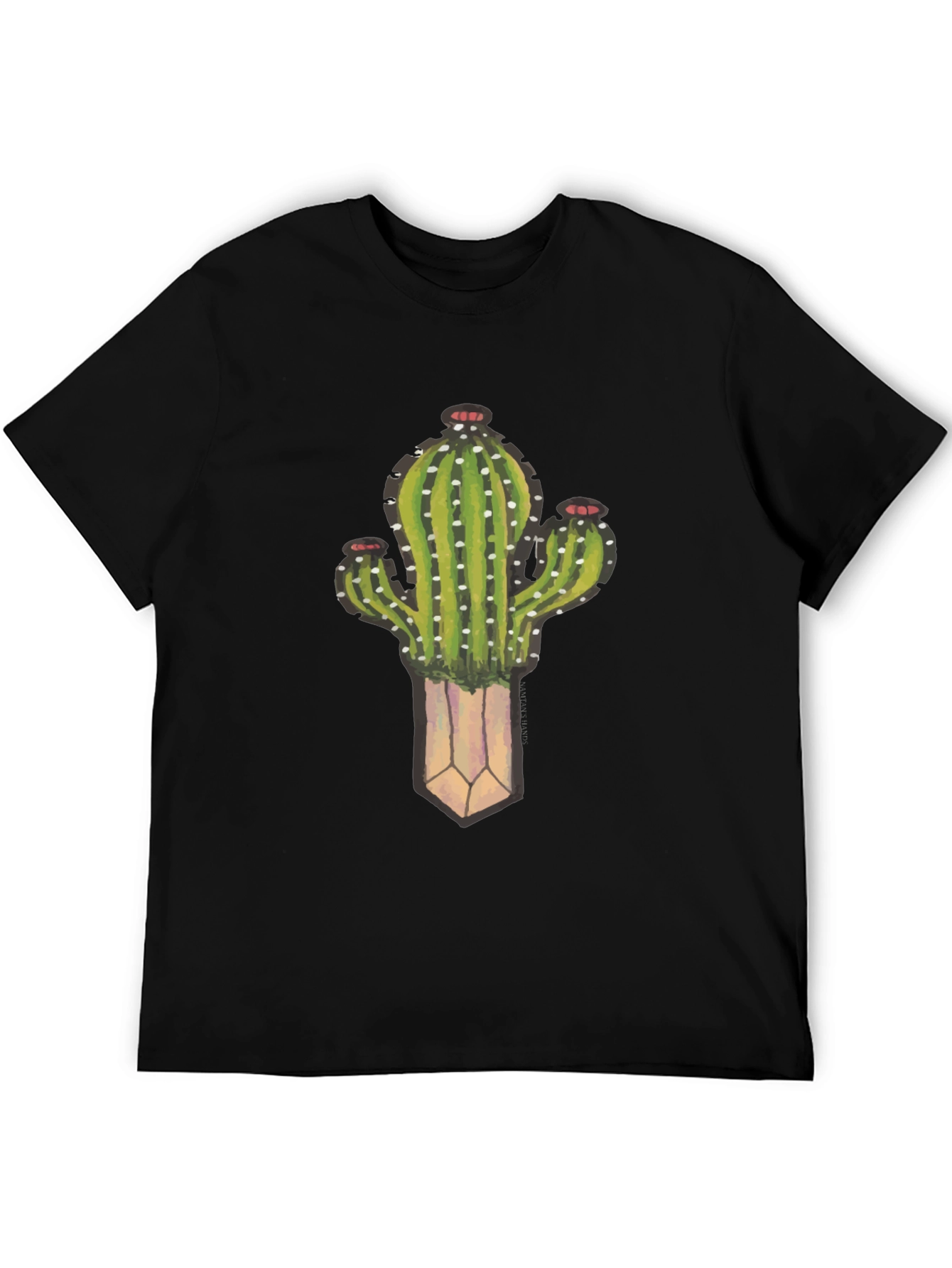 Cactus Plant Graphic Black T-Shirt